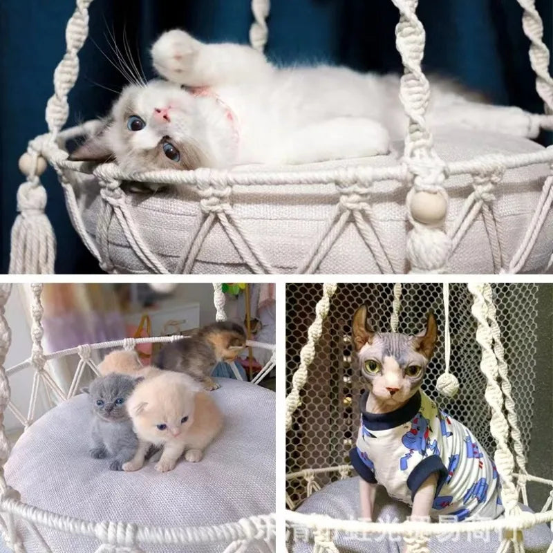 Hamac pour Chat