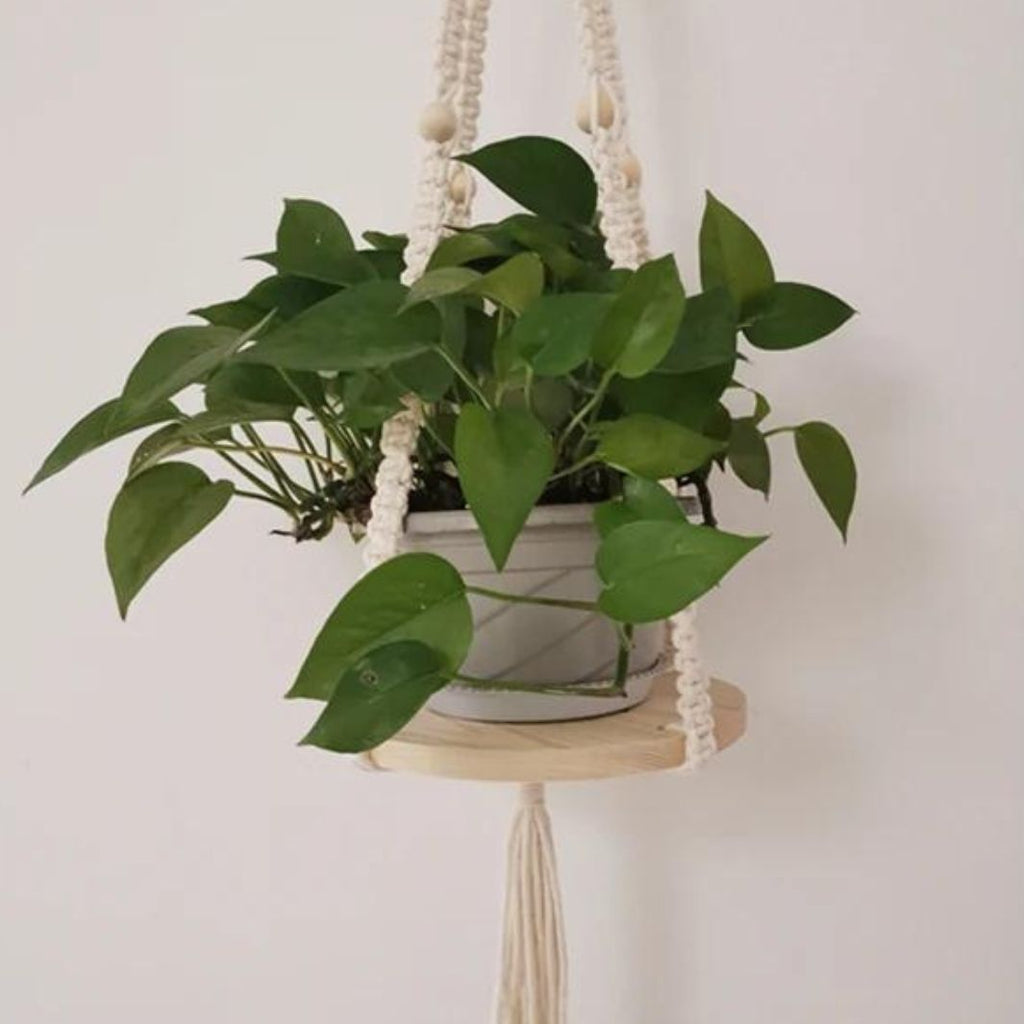 Suspension Plante Macramé "Tampa" Macramé&Co | La décoration bohème de votre intérieur