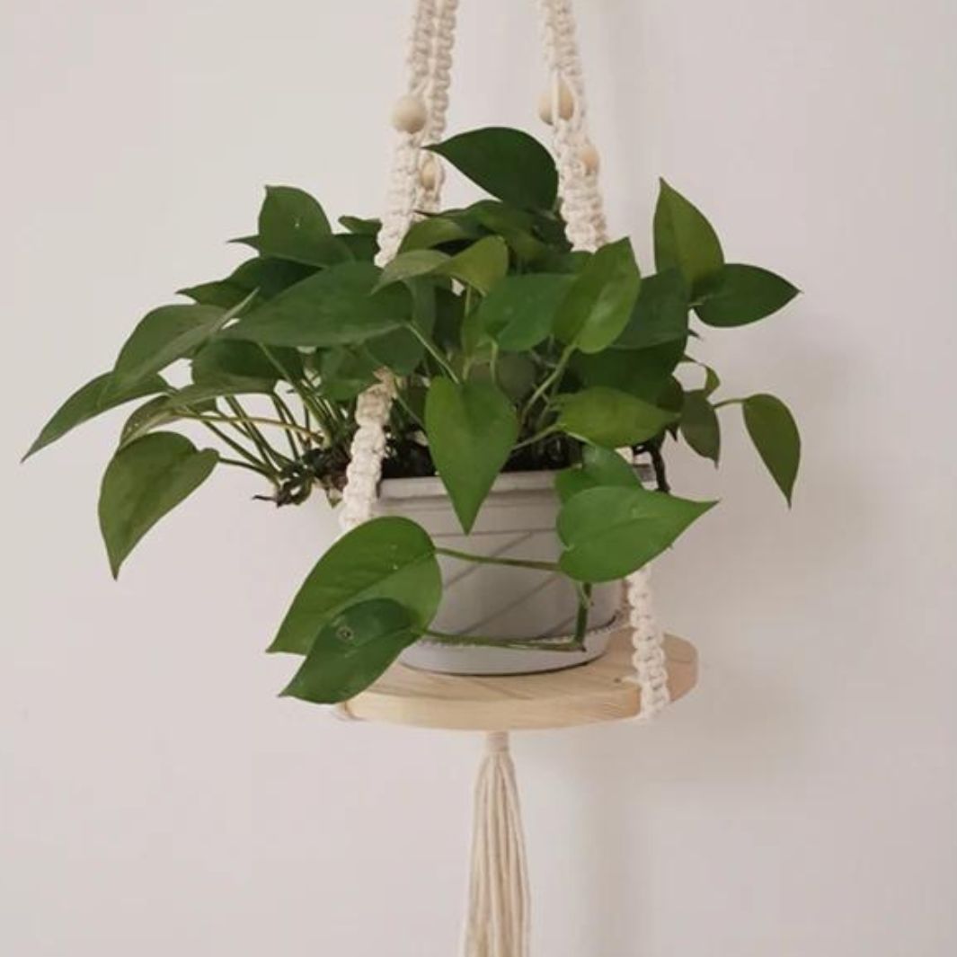 Suspension Plante Macramé "Tampa" Macramé&Co | La décoration bohème de votre intérieur